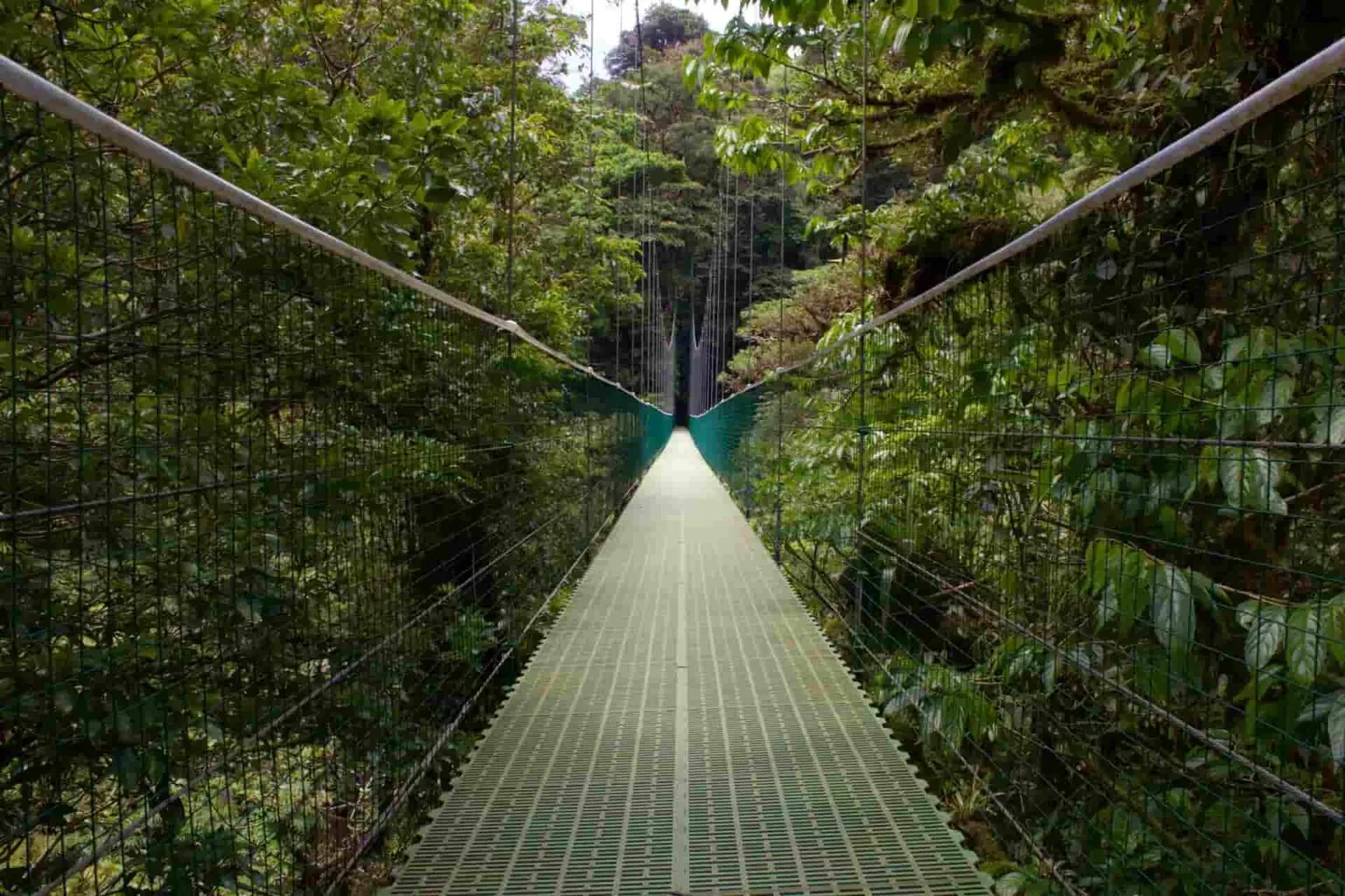 costa-rica-national-parks_monteverde.webp