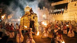 Sri Lanka - Salida Especial Festival Esala Perahera en Agosto