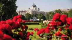 Un Estiu a Viena