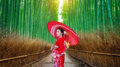 La Gran Ruta Samurái