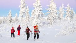Finlandia en Navidades y Fin de Año