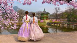 ¿Qué ver en Corea del Sur?