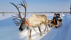 Laponia Oferta Puente de Diciembre